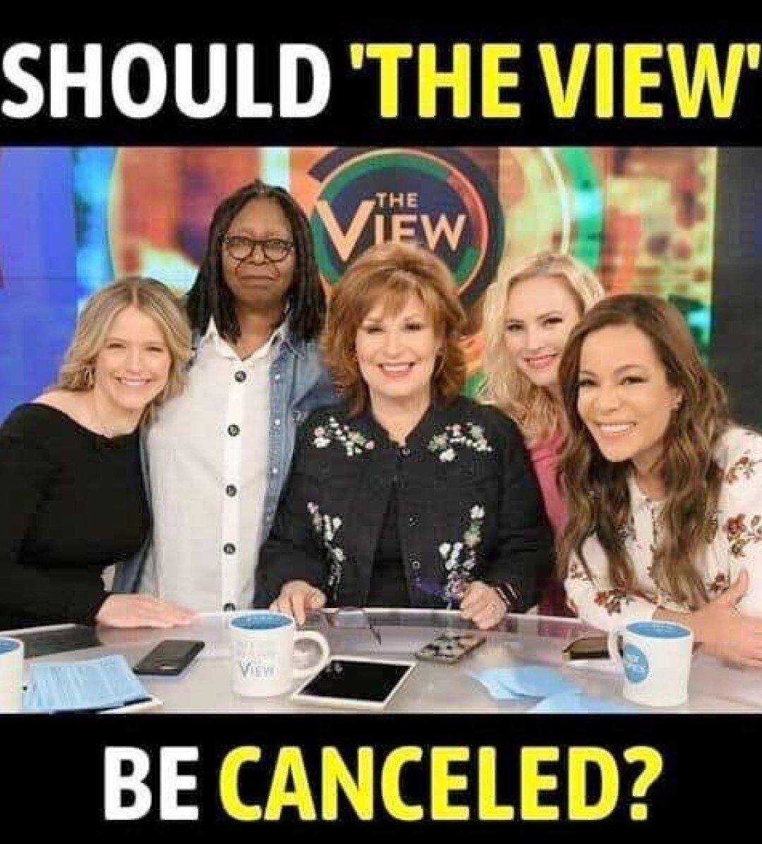 The View: Spreading Acrimony on ABC