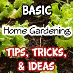 Basic Home Gardening Tips, Tricks & Ideas – Dian Farmer Learning To Grow Our Own Food