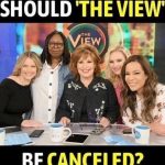 The View: Spreading Acrimony on ABC