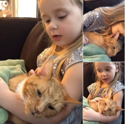 Little girl emotionally sings ‘You Are My Sunshine’ to dying cat.