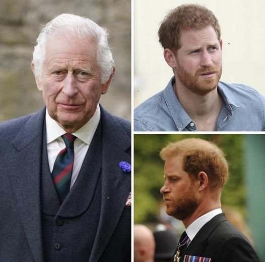 Prince William receives a military title from King Charles III instead of Prince Harry