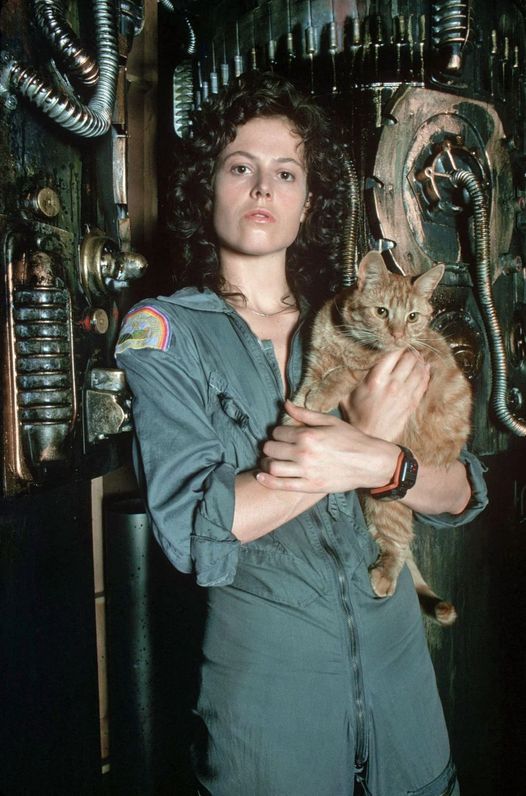 Sigourney Weaver: Amazing photos of the Sci-fi icon