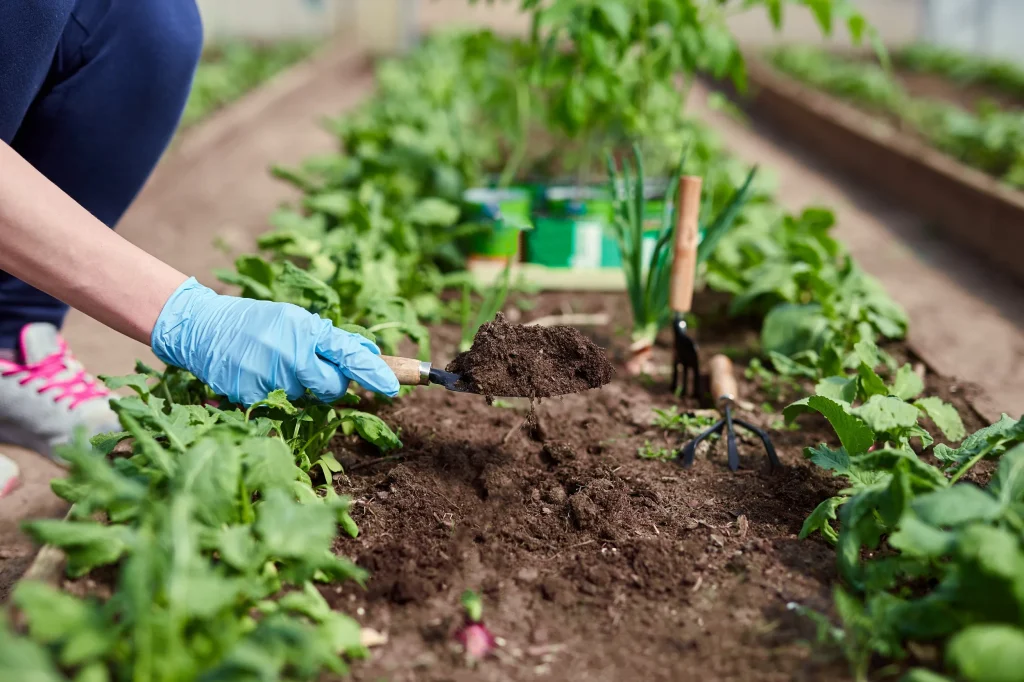 These are the best gardening tips — straight from the pros
