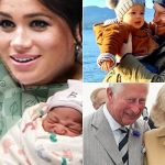 Breaking News: The British royal family announces joyful news as the wife of Prince Harry gives birth to twins, adding two more heirs to the royal lineage. King Charles rejoices as he names them…