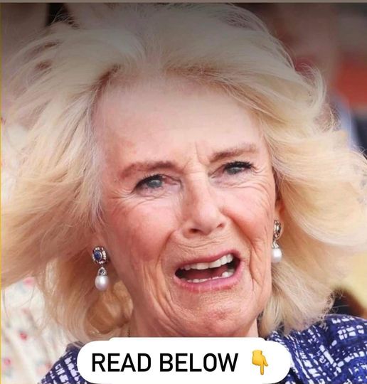 Queen Camilla was fired from her job after night out partying – new details about her unknown life come to light