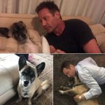 David Duchovny announces death of beloved rescue dog Brick: shares beautiful poem as tribute