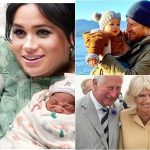 Breaking News: The British royal family announces joyful news as the wife of Prince Harry gives birth to twins, adding two more heirs to the royal lineage. King Charles rejoices as he names them…