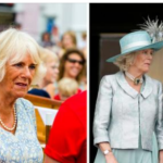 Queen Camilla ‘outraged’ after Prince Harry’s visit to see his father for “loving son PR stunt”, claims source