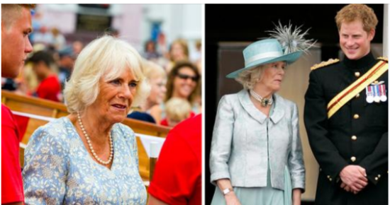 Queen Camilla ‘outraged’ after Prince Harry’s visit to see his father for “loving son PR stunt”, claims source