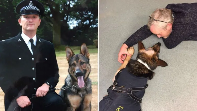 Simon Cowell Crying With Heroic police dog Finn moves the Judges to tears 𝐖𝐚𝐭𝐜𝐡 𝐯𝐢𝐝𝐞𝐨 𝐢𝐧 𝐜𝐨𝐦𝐦𝐞𝐧𝐭𝐬 𝐛𝐞𝐥𝐨𝐰 