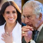 King Charles CUT OFF Prince Harry And Meghan Markle From INHERITANCE And All Privileges