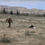 Shocking footage captures a massive golden eagle attempting to fly off with an 8-year-old girl.