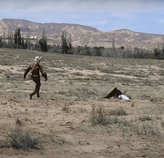 Shocking footage captures a massive golden eagle attempting to fly off with an 8-year-old girl.