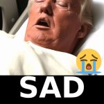 DEVASTATING NEWS ON TRUMP LEAVES US IN TEARS…