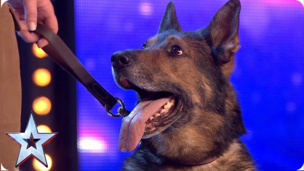 Simon Cowell Crying With Heroic police dog Finn moves the Judges to tears