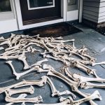 Mystery Animal Bones Showed Up at My Door — So I Installed a Security Camera to Uncover the Truth